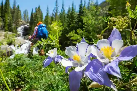 Silverthorne: Boots to Boats Adventure Package