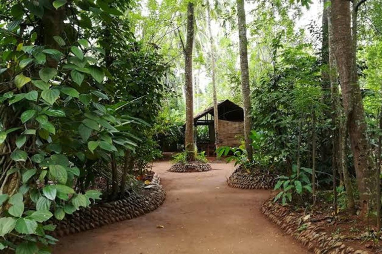 Kandy: Trincomalee Guided Cultural Heritage & Coastal Tour