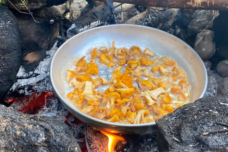 Göteborg: Das lokale Erlebnis – Hausbesuch, Essen &amp; WaldGöteborg: Erlebe Schweden mit einem Einheimischen