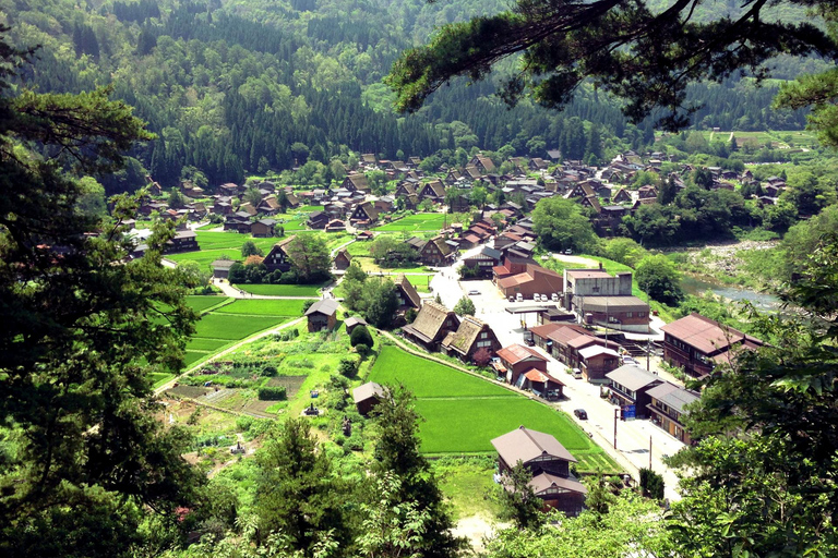 Nagoya: Takayama &amp; Shirakawa-go Day Trip w/ Hida Pork LunchNagoya: escursione di un giorno a Takayama e Shirakawa-go con pranzo a base di maiale di Hida