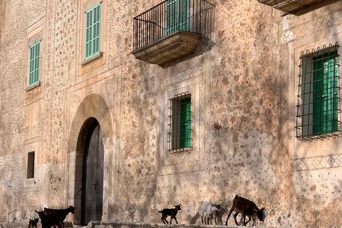 Wędrówki po Sierra de TramuntanaSierra de Tramuntana - zimowa wycieczka piesza