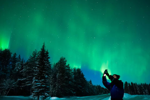 Levi: Tour dell&#039;aurora boreale con avvistamenti garantiti