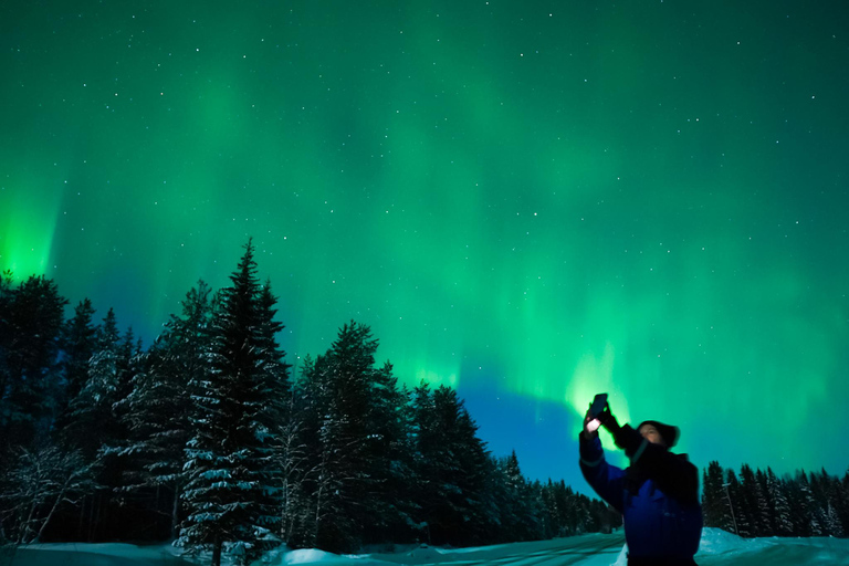 Levi: Excursión a la Aurora Boreal con avistamiento garantizado