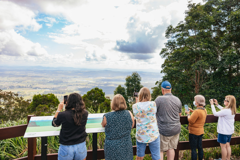 Tagestour ab Brisbane: Regenwälder & Glühwürmchenhöhle