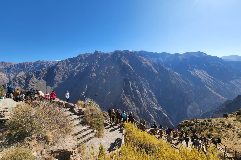 Arequipa : Excursion d'une journée au Canyon de Colca