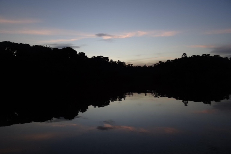 Randonnée nocturne dans la jungle amazonienne