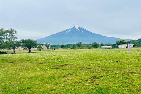 1 journée de visite privée au Mont Fuji/Hakone depuis Tokyo/Yokohama