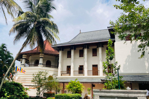 Kandy: Private Lake Boat Tour with City Views