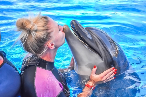 Hurghada: familiezwemmen met dolfijn