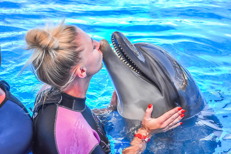 Hurghada: Nadar en familia con delfines