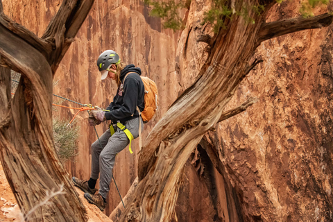 Moab: Tour d&#039;avventura di canyoning con pinne e oggetti