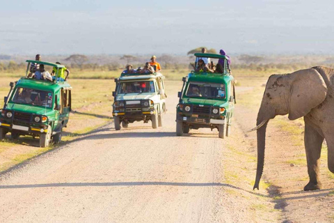 7-dniowe safari w Kenii z dziką przyrodą i plażą Diani