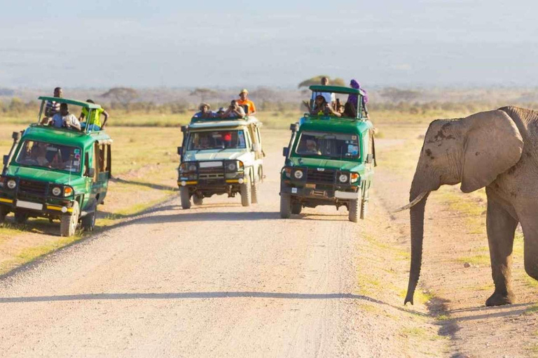 Safari de 7 días por la fauna de Kenia y la playa de Diani