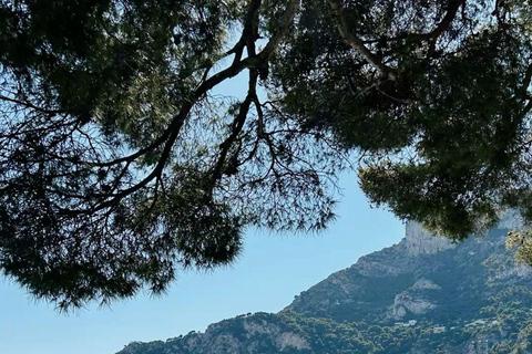 Nice, Monaco & Eze: Private Half-Day Tour