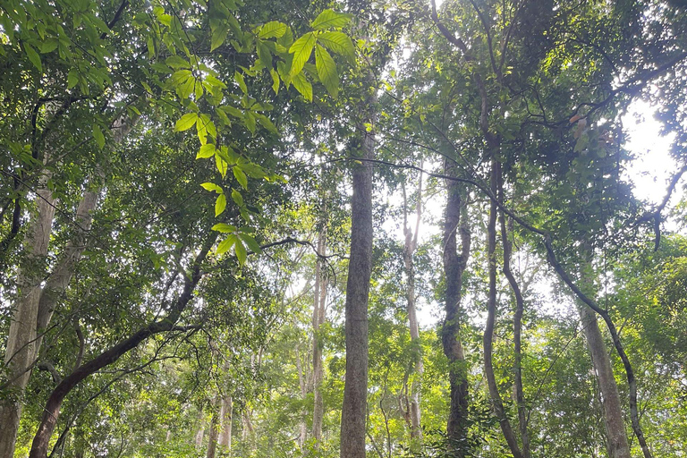 From HCMC: Cat Tien Jungle, Morning & Night safari included Group trip (from 2-5)