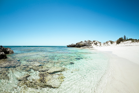 Vanuit Fremantle: SeaLink Rottnest veerboot en fietsverhuur7 AM Vertrek