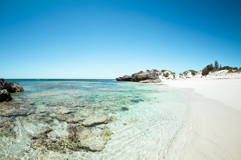 Depuis Fremantle : SeaLink Rottnest Ferry et location de vélos7 heures Départ