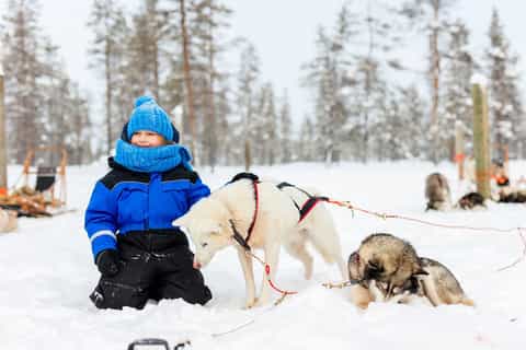 Rovaniemi: Reindeer, Huskies & Santa Claus Village