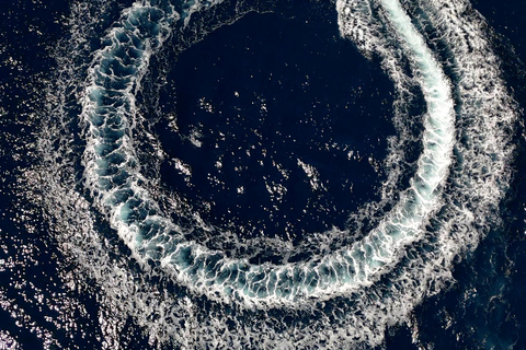 Mallorca: 2h speedboat tour, visit caves, cliffs and snorkel