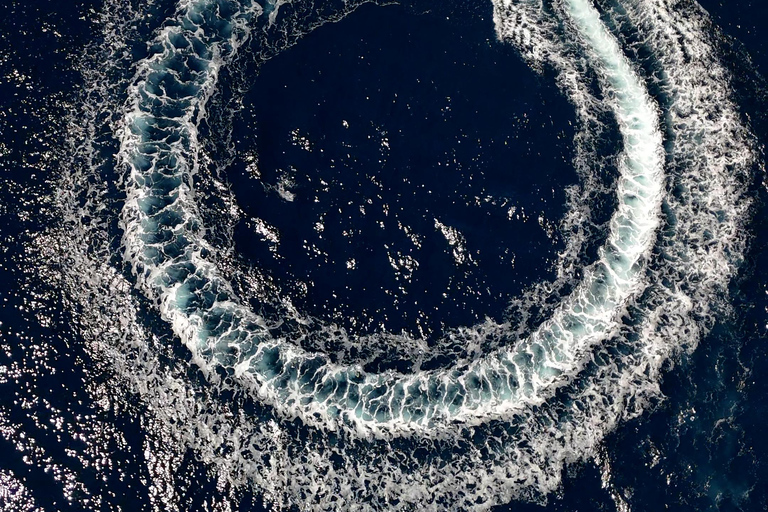 Mallorca: 2h speedboat tour, visit caves, cliffs and snorkel