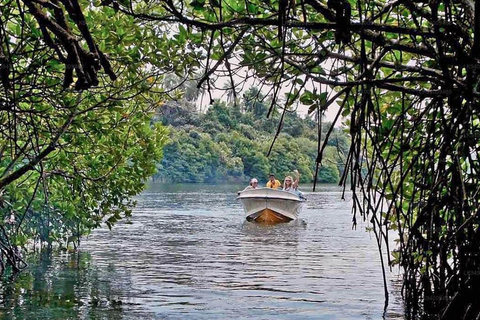 Colombo: Viagem de 1 dia a Galle e Bentota saindo da cidade de Colombo