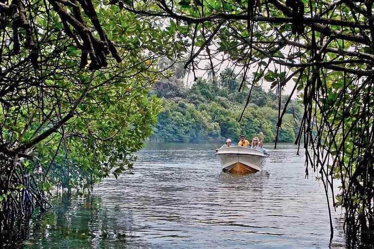 Colombo: Viagem de 1 dia a Galle e Bentota saindo da cidade de Colombo