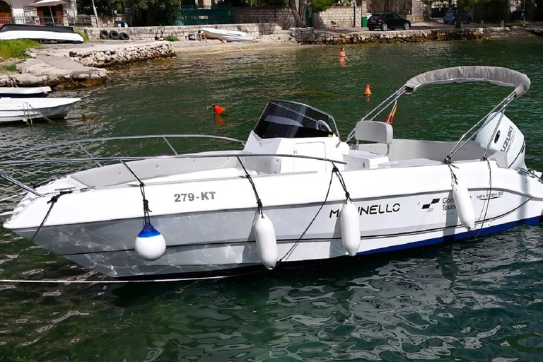 Kotor: Exclusiva excursión nocturna en barco de 2 horas por la bahía de Boka