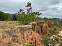 4- hour hiking tour in two different tropical worlds - Housity