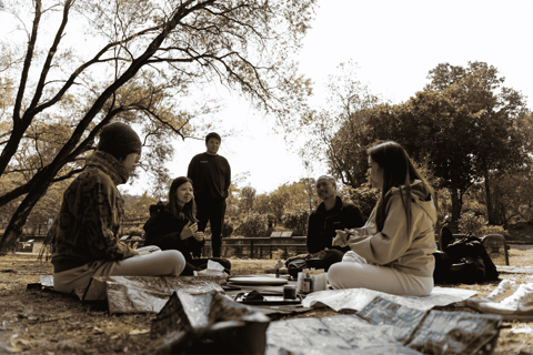 Hong Kong Eco-tourism: Guided Forest Bathing Experience Private Forest Therapy Session
