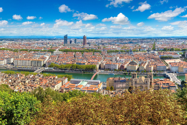 Rondvaart door de oude binnenstad van Lyon met Vaporetto tickets3 uur: Wandeltour &amp; riviercruise