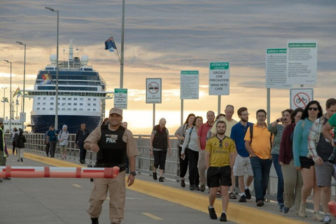 Peninsula Valdes Shore Tour for Cruise Passengers + City