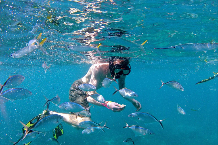 Vanuit Punta Cana: Hele dag privé catamaran op Catalina-eilandVanuit Punta Cana: Dagtrip privé duiken op Catalina eiland