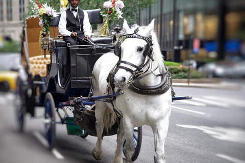 NYC Private Central Park Horse Carriage Ride with Guide NYC VIP Christmas Light Horse Carriage Ride