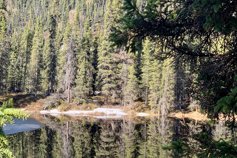Denali National Park: Triple Lakes Trail Guided Hike