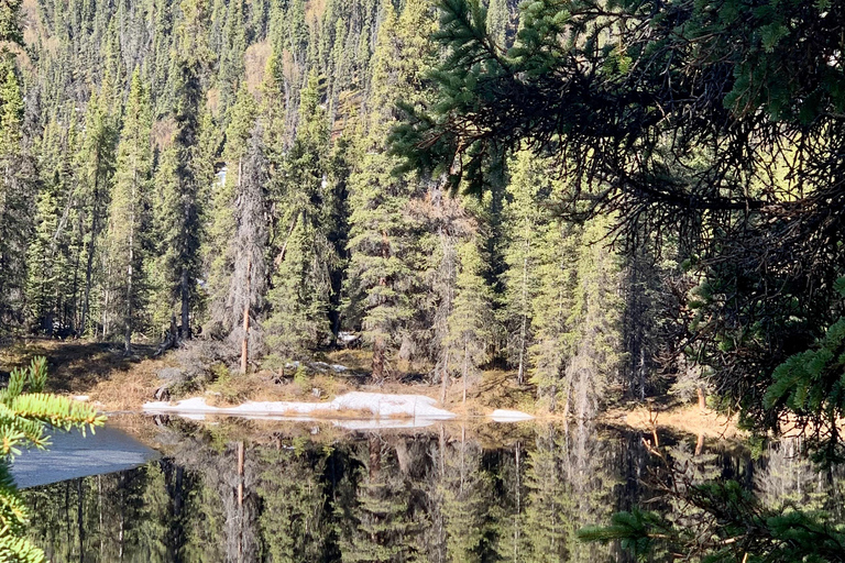 Denali National Park: Triple Lakes Trail Guided Hike