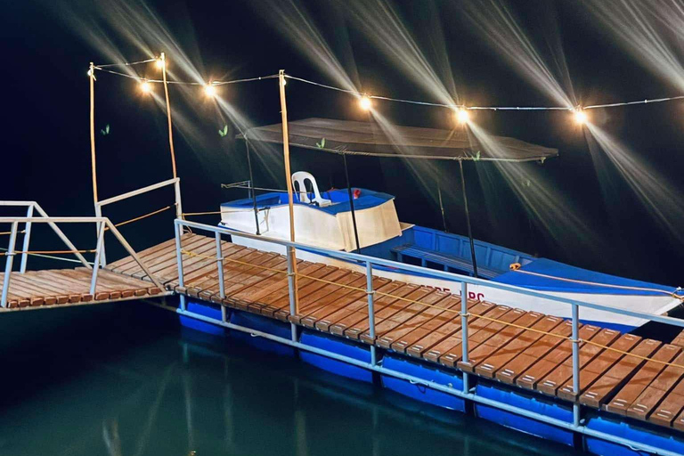 Croisière sur la rivière Iwahig Observation des lucioles