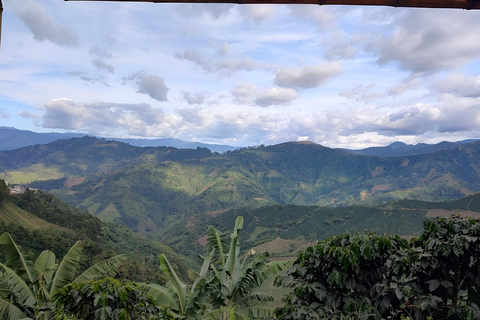 MEDELLIN: DAWN GARDEN TOUR WITH VISIT TO BETANIA - 2 DAYS AND 1 NIGHT