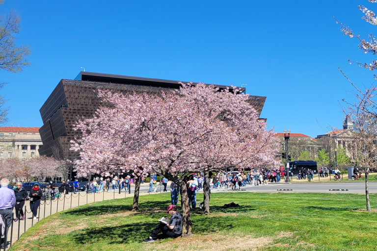 Private Washington DC Grand Tour with Changing of the Guard.