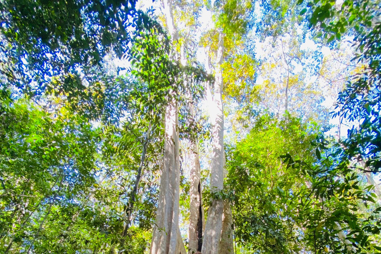 Tour di 2 giorni da Dalat al parco nazionale di Cat Tien, rientro a Saigon