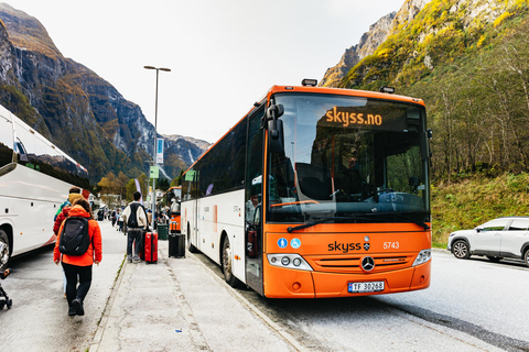 Bergen : excursion d'une journée aller-retour autoguidée