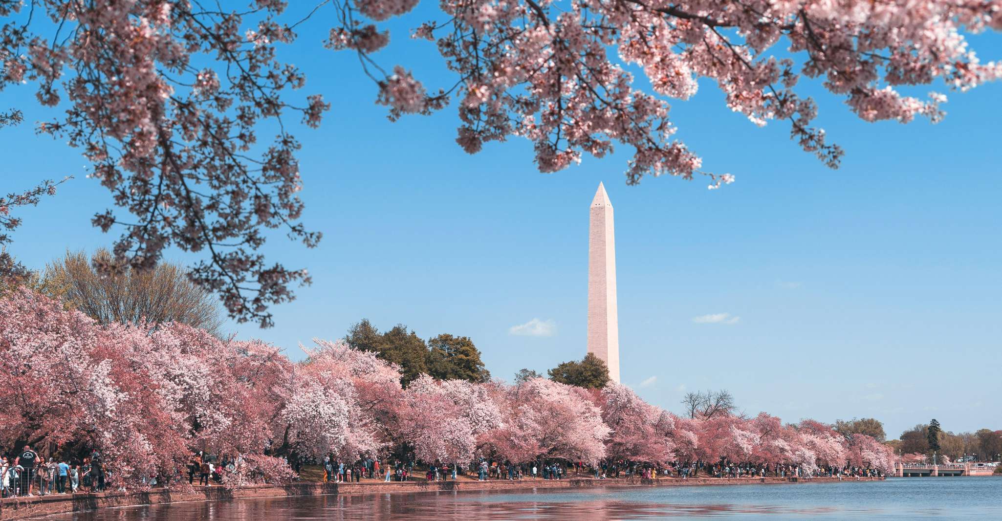 Half-Day Washington DC Monuments &Landmarks Small Group Tour