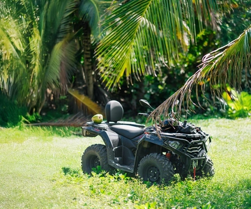 Tour in quad a Punta Cana con spiagge segrete e palmeti