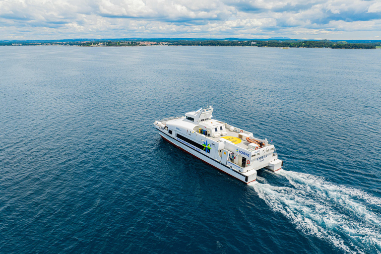 Depuis Dubrovnik : Royal Montenegro Excursion d&#039;une journée en ferry rapideBudva - Le joyau côtier du Monténégro