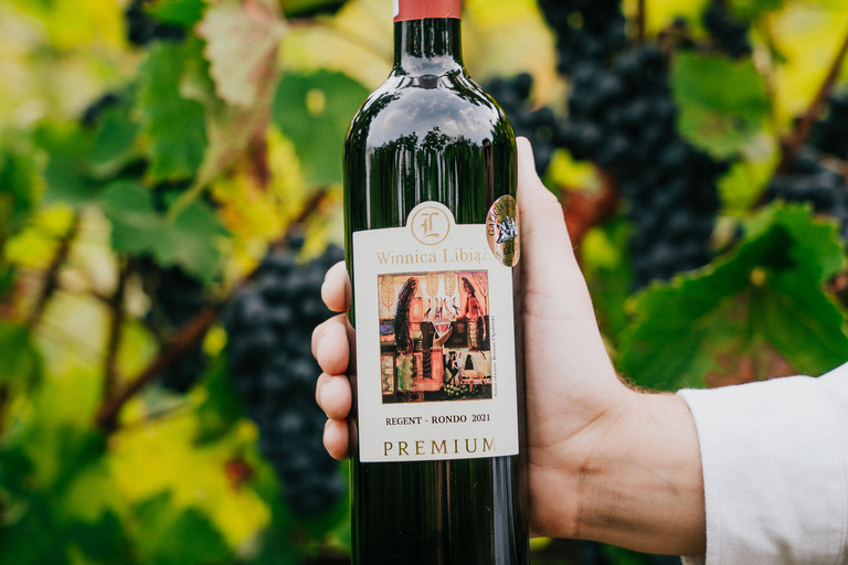 Krakow: Vineyard Tour with Wine Tasting & Dinner Extended Tasting