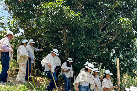 Coffee and Exotic Fruit Tour from Medellín with Lunch Coffee and Exotic Fruit Tour from Medellín with Lunch.