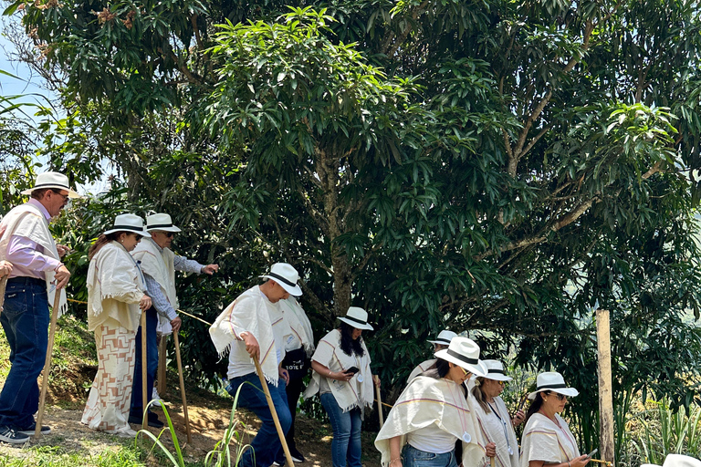 Coffee and Exotic Fruit Tour from Medellín with Lunch Coffee and Exotic Fruit Tour from Medellín with Lunch.