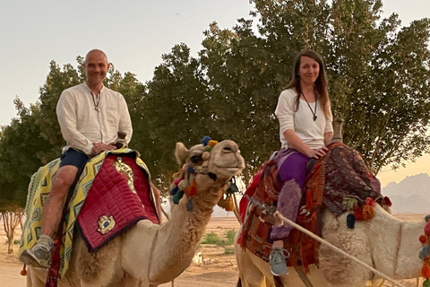 Hurghada: Hiking , dinner & stargazing Advanced hiking tour & camel ride