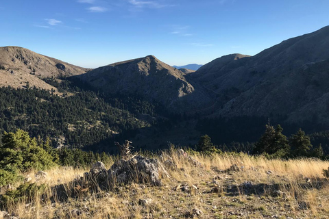 Athens - Flabouritsa Gorge Hike with Transfer and Guide