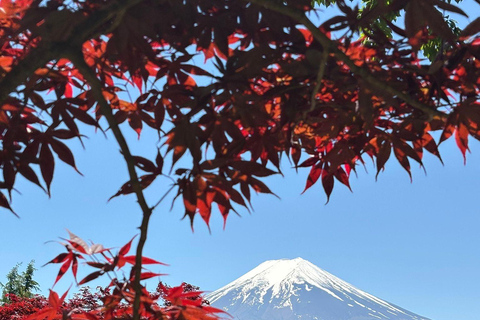 Tokyo: Mount Fuji & Pagoda & Oshino Hakkai & Lake Kawaguchi Route B : Mount Fuji & Hakone Private Customizable Day Trip