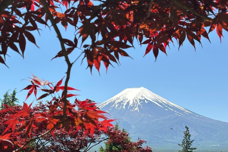 Tokyo: Mount Fuji & Pagoda & Oshino Hakkai & Lake Kawaguchi Route B : Mount Fuji & Hakone Private Customizable Day Trip